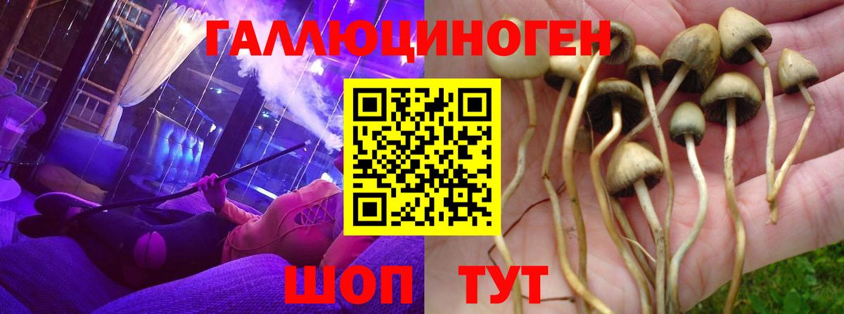 Реутов  Псилоцибиновые грибы мухоморы  Вход с VPN 